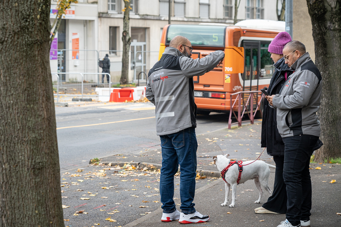 C’est parti pour les travaux des Chronolignes !